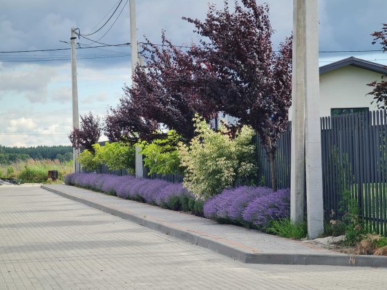 Вітаю. Продаж від забудовника. Будинок 97.2 м2. Гореничі