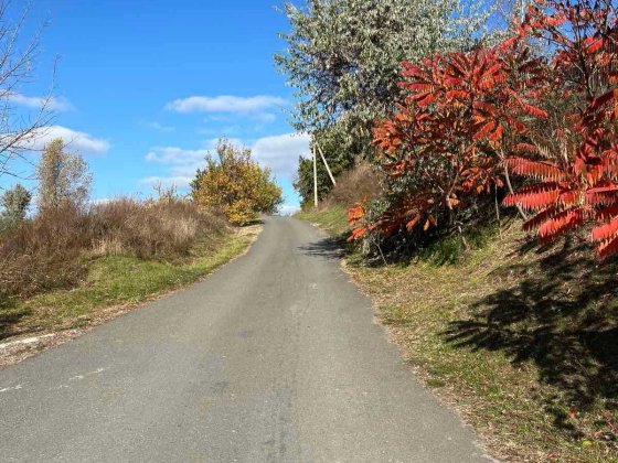 Продаж дачі з ділянкою - 9 сот, Газ.  Підгірці, Обухівський район Підгірці