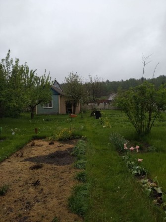 Продам Дачу в «Озерне» 12 Соток с. Мекшуновка, Славутич - фото 1