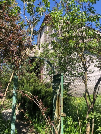 Продам дачу біля Березані - фото 1