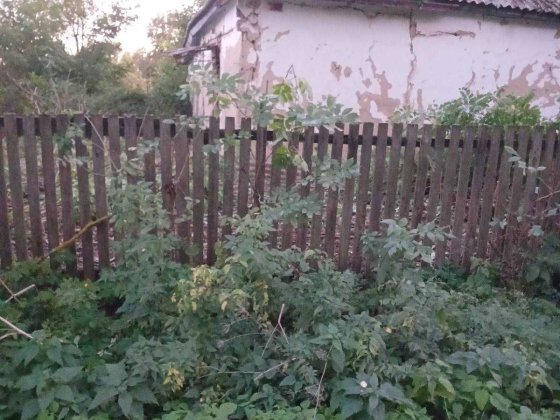 Продам хату в чудовому місці, в центрі села Черняхівка Яготин