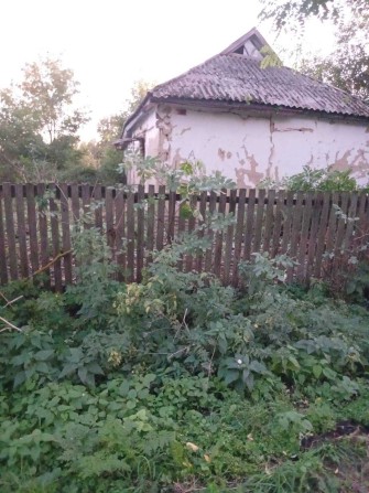 Продам хату в чудовому місці, в центрі села Черняхівка - фото 1