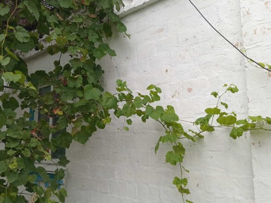 Продам будинок за Борисполем - смт Баришівка Барышевка