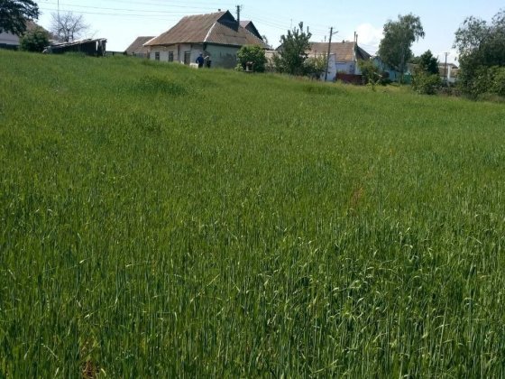 Продаж будиночку в селі Богданівка Богдановка