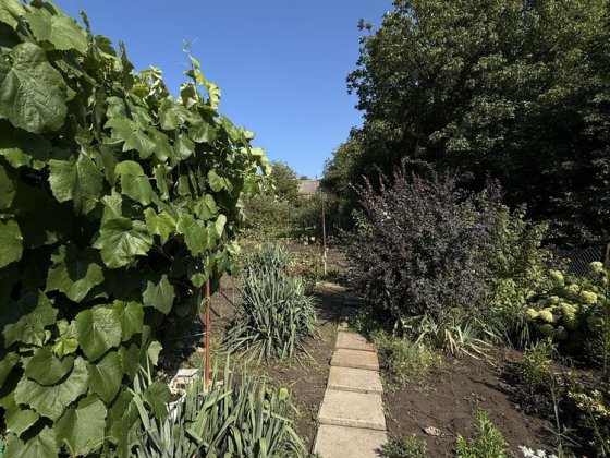 Продам дачний будинок в селі Горбовичі Горбовичі