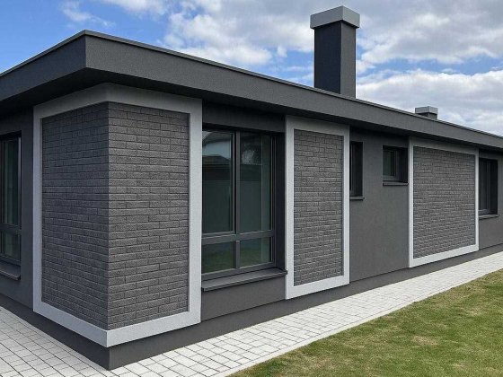 Одноповерховий будинок у Дмитрівці на великій ділянці Дмитровка