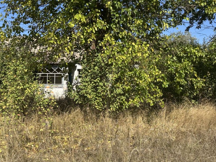 Іванків Земельна ділянка 40 соток зі старим будинком вул.Незалежності7 - фото 1