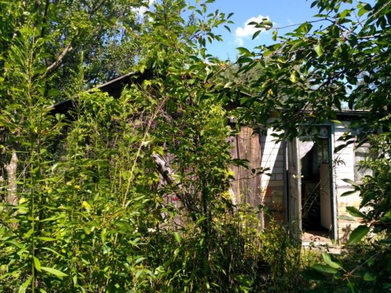 Продам дачу с.Новосілки Бучанського  р-ну  площою 0,063 га Новосілки