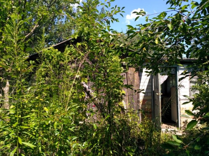 Продам дачу с.Новосілки Бучанського  р-ну  площою 0,063 га - фото 1