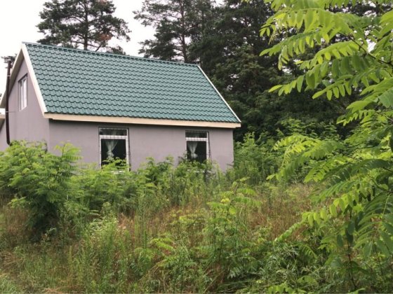 Новий дім з ремонтом Плесецьке