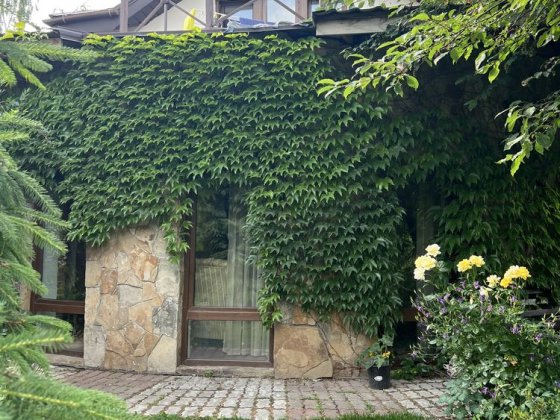 Коттедж VIP класу біля лісу де тихо та затишно Путрівка Путровка