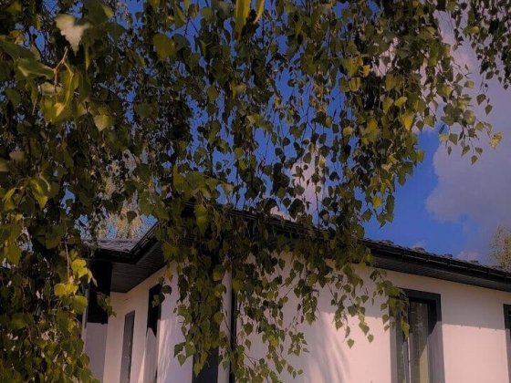 Будинок у Путрівці | 7 соток + 85 м² | ЄОселя | Без посередників Путрівка