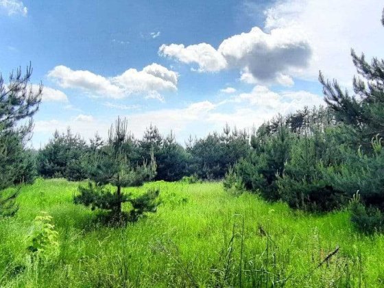 Вілла Шале серед молодих сосен.Вибір готових будинків.2роки розстрочки Путровка