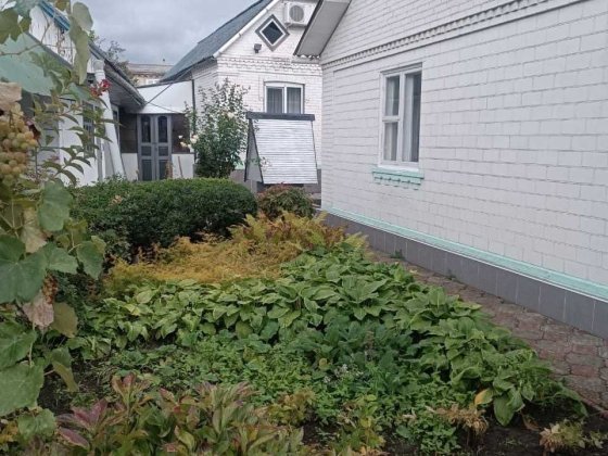 Продається lдва будинки Гайворон