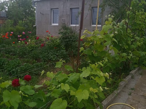 Продам будиночок Вільне