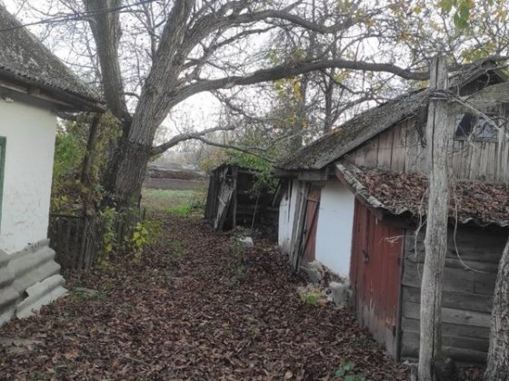 Продам будинок Голованевск