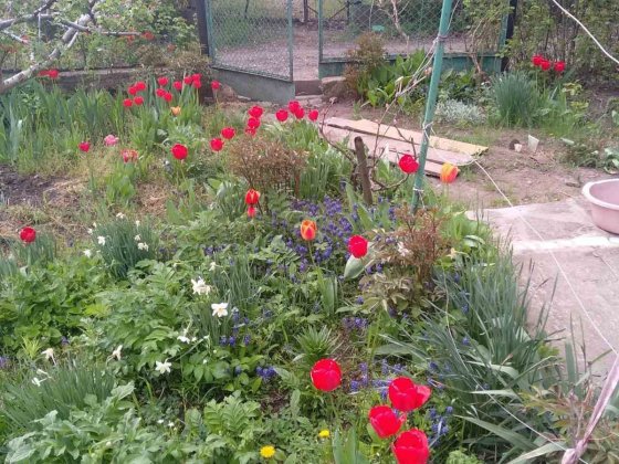 Продам дачу район Николаев  Сливено Сливино