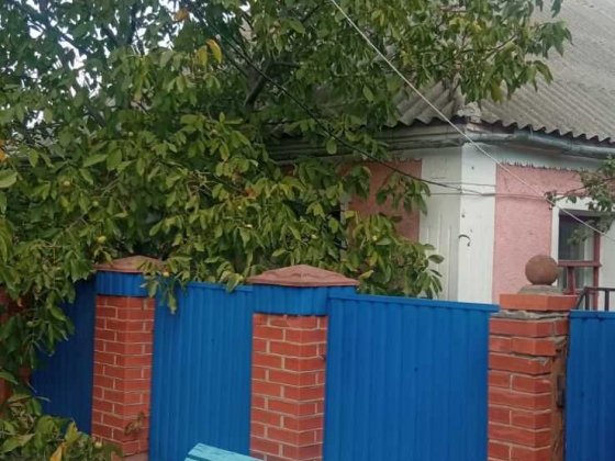 Продається будинок зі всіма меблями і побутовою технікою, с Арбузинка. Арбузинка