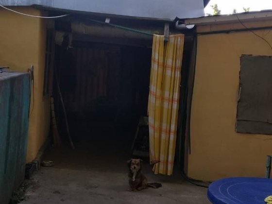 Продаю хату з постройками Новий Буг