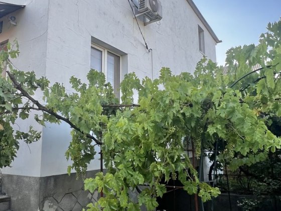 Продаю 3х ком компактный дом в Великодолинское Великодолинське