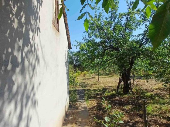 Продам свой дом в Светлом с участком Светлое