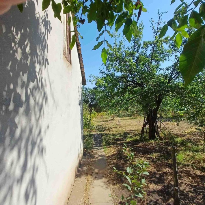 Продам свой дом в Светлом с участком - фото 1