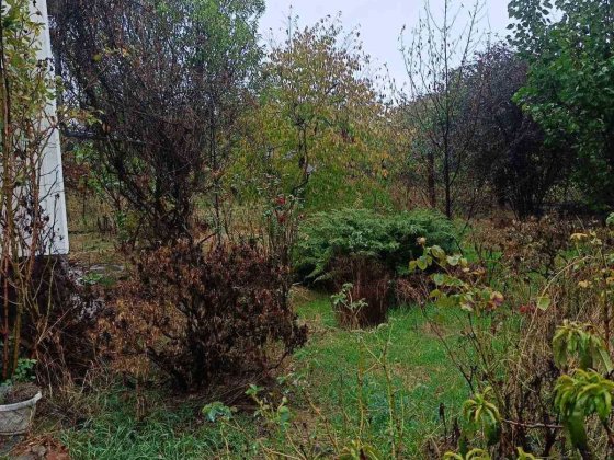 Продам Дом в Светлом на 12 сотках земли Светлое