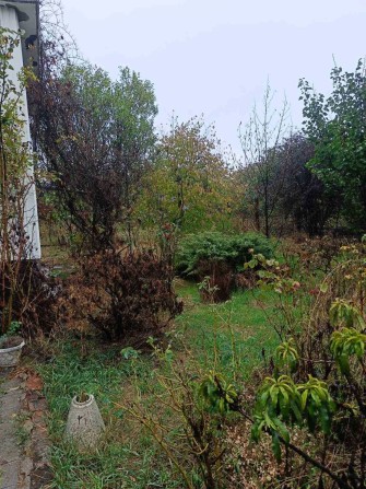 Продам Дом в Светлом на 12 сотках земли - фото 1