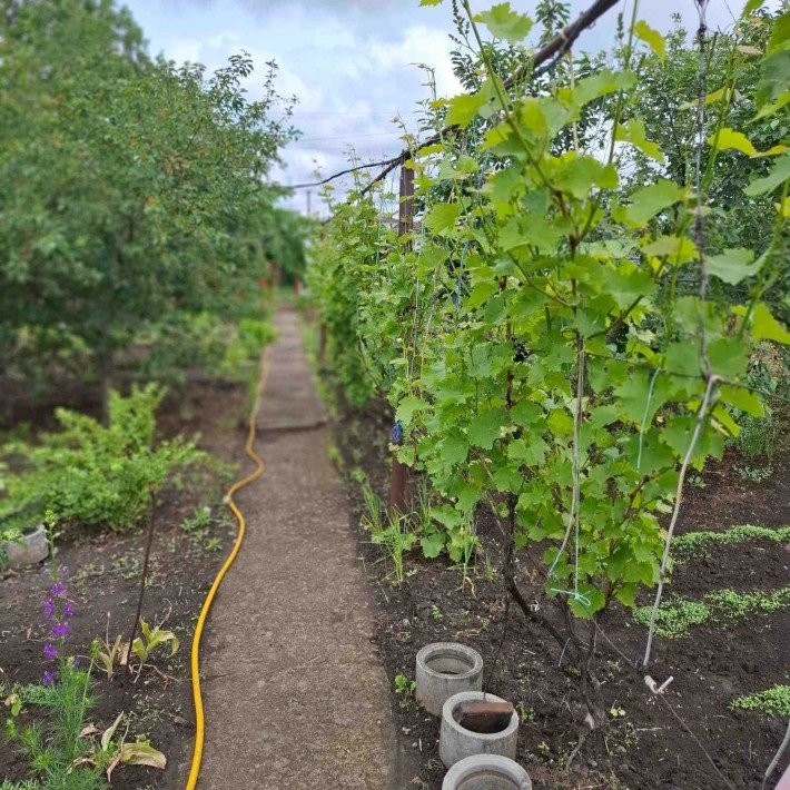 Продам дачу в Светлом - фото 1