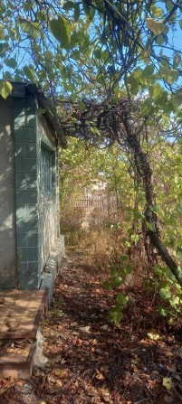 (13) Продам дачу в садовому кооперативі Сухого Лиману - фото 1