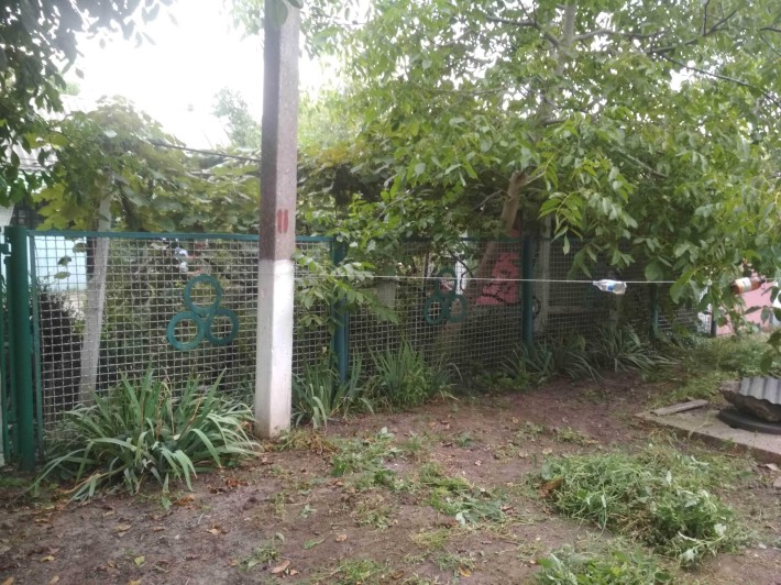 Дім і присадибна ділянка - фото 1