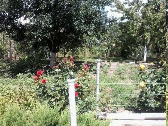 Продам счастливый  дом для большой семьи в Царском Селе . Овидиополь