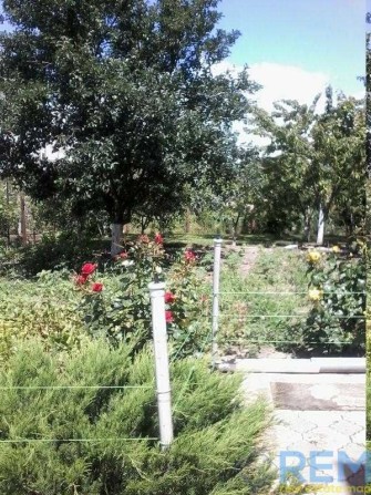 Продам счастливый  дом для большой семьи в Царском Селе . - фото 1