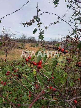 Одноэтажный дом на 15 сотках - фото 1