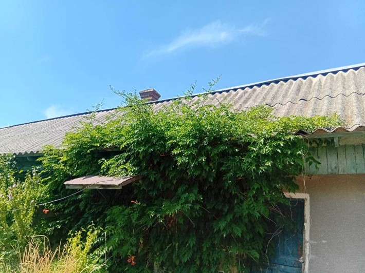 Продам дом в Беляевке - фото 1