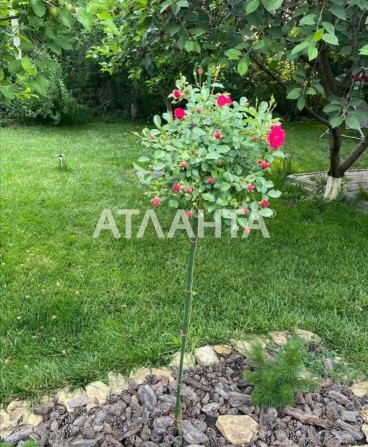 2 этажный дом на Грибном канале - фото 1