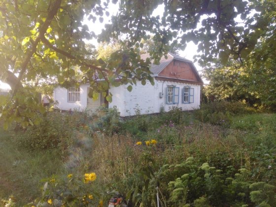 Будинок в м. Карлівкавка Полтавської обл. Карловка