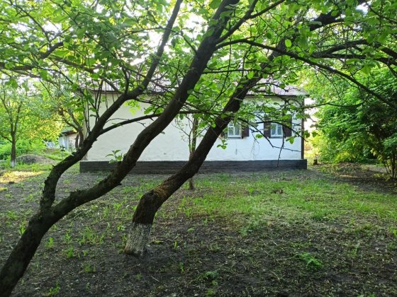 Продається господарство Котельва