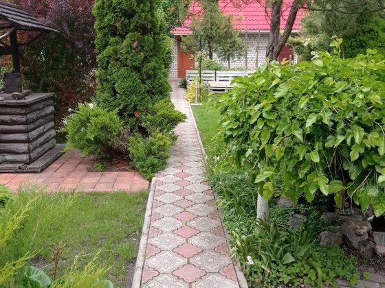 Продам дом с постройками или сдам в аренду  помесячно, посуточно.в СТ Кривуши