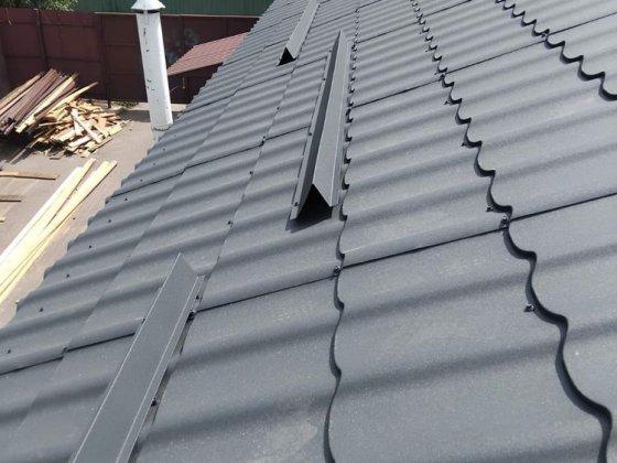 Будинок в м. Лохвиця з гаражем, підсобними приніщеннями і садом Лохвица