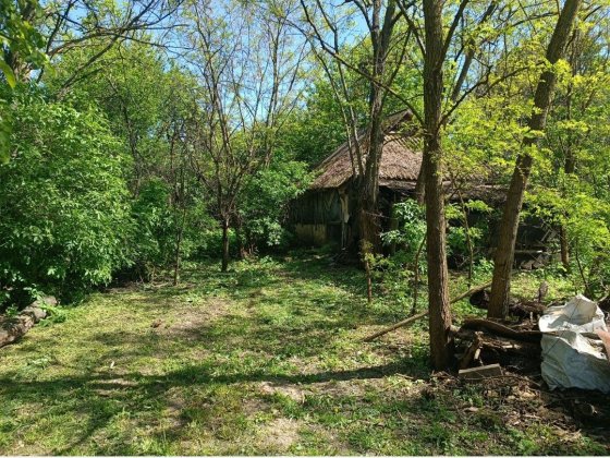 Будинок під знос Мачухи