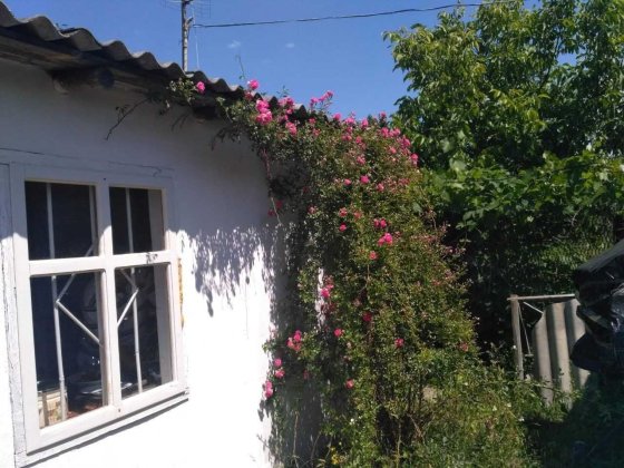 Я Продам дачу, Кам’яна Гора, масив Борковський Каменная Гора