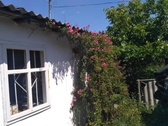 Я Продам дачу, Кам’яна Гора, масив Борковський - фото 1