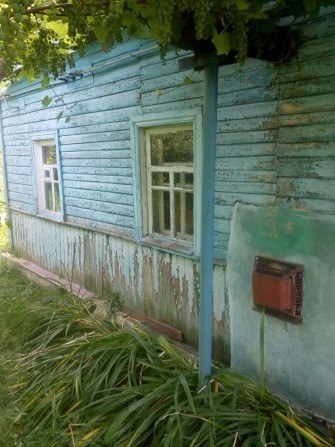 Продается частный дом с большим участкомв пгт. Воронеж ГАЗ ВОДА В ДОМЕ - фото 1