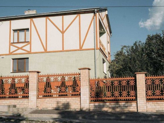 Будинок з ідеальним розташуванням та великою ділянкою Петриків