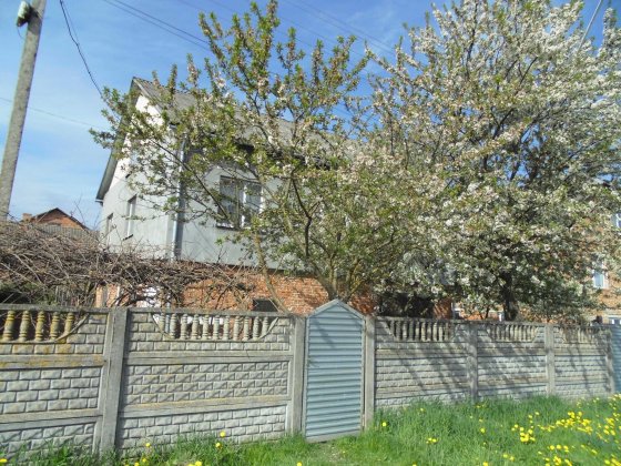 Будинок (Козова) Козова