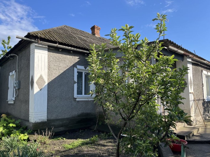 Будинок по вул. Олени Пчілки - фото 1