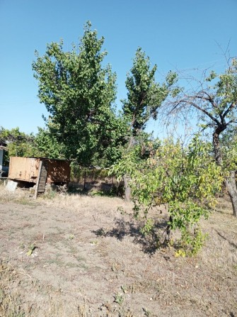 Продается дачный участок - фото 1