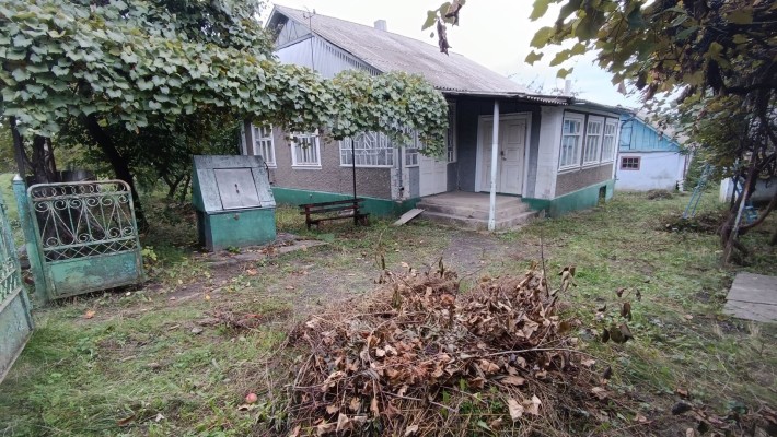 Будинок с.Іванківці - фото 1