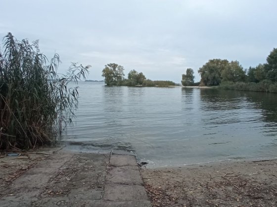 Продам будинок , дачу с.Червона Слобода Червона Слобода